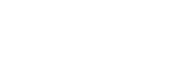Настоящий Электронный Полис